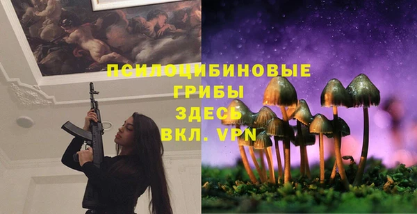круглые Заводоуковск