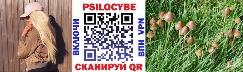 Псилоцибиновые грибы мухоморы  Купить где  Камень-на-Оби 